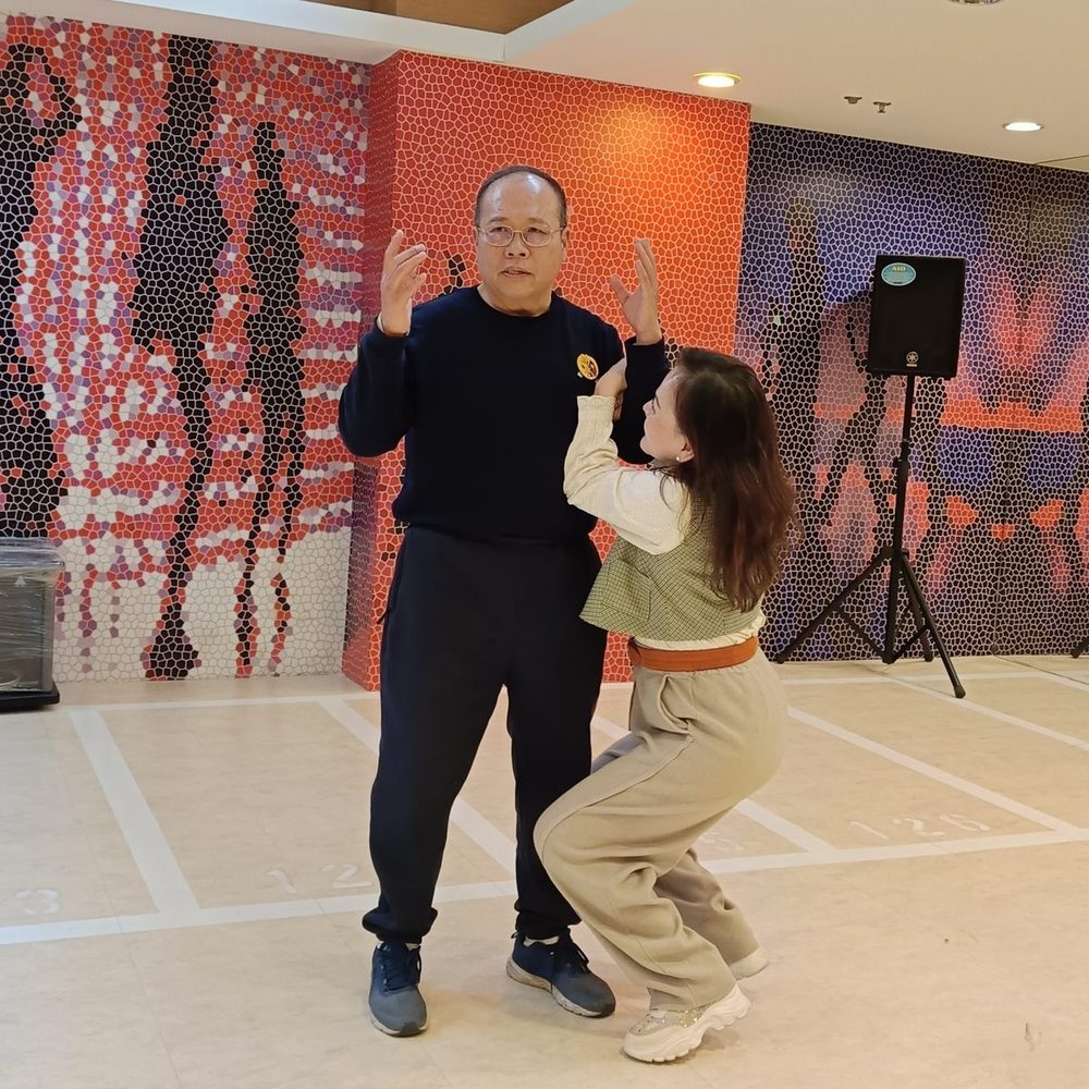 Push hands demo